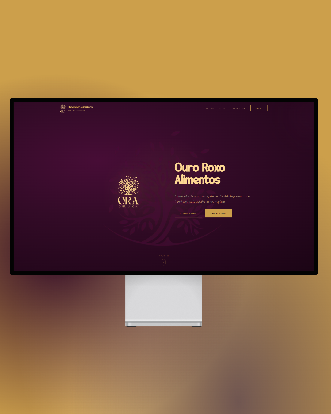 ORA Distribuidora