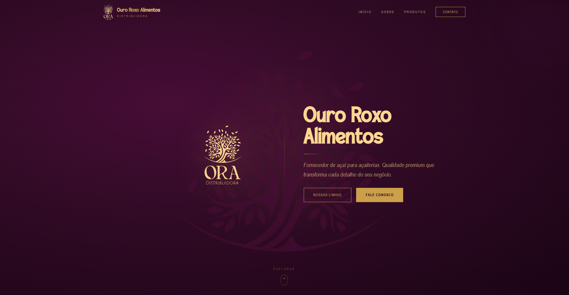 ORA Distribuidora